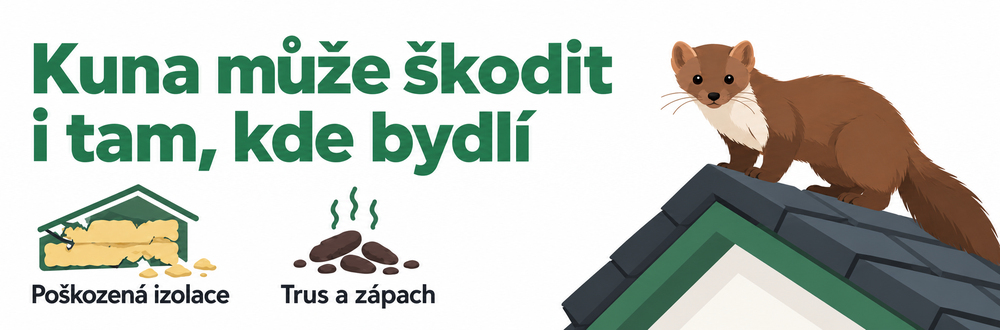 kuna-kompaktni-infografika